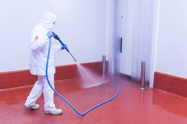 Best Driveway Cleaning and Restoration in Montrose Ghent, OH